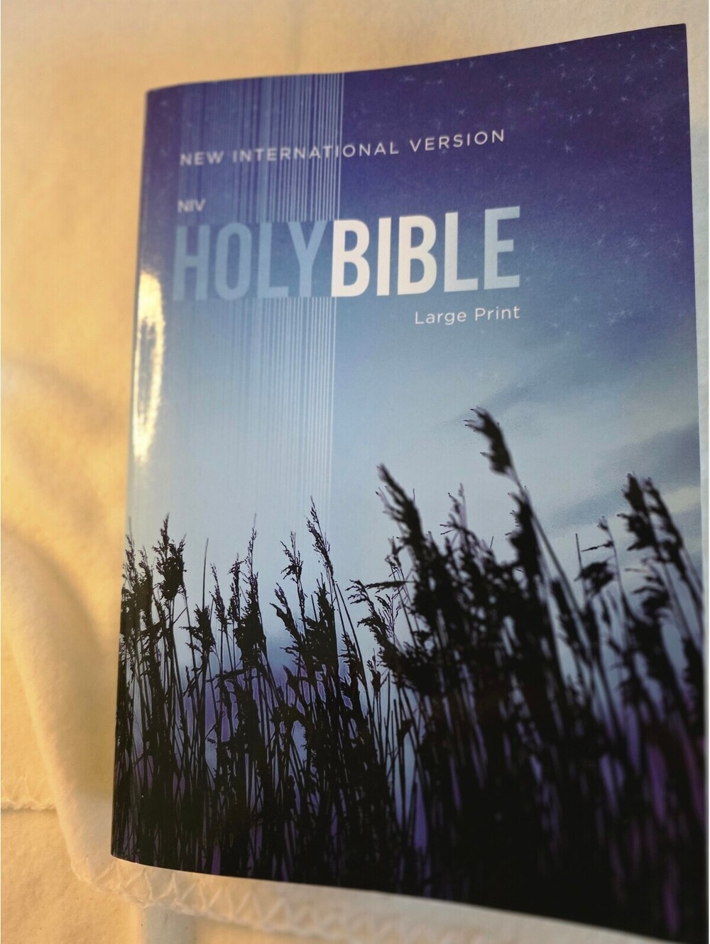NIV Holy Bible Large Print Paperback Zondervan Outreach Bible Christian